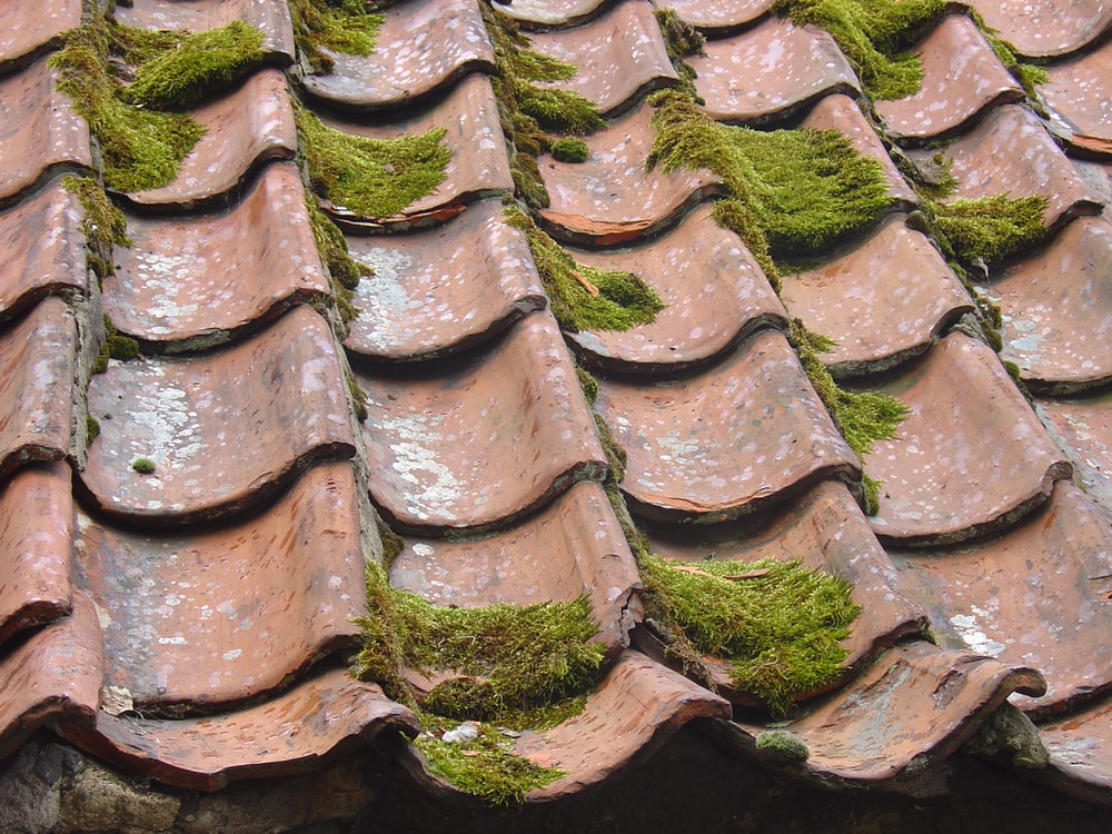 Warning signs you need a roof repair
